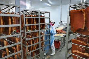 Com 70,4 toneladas, Paraná liderou exportação de bacon em 2023