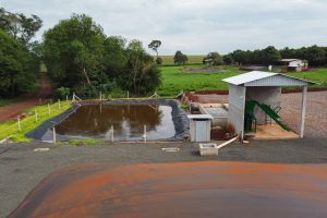 Vizinhos compartilham biodigestor para produzir energia limpa da suinocultura