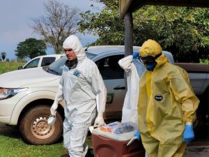 Estado comemora um ano livre da última ocorrência da Influenza Aviária