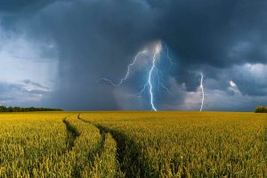 Deputados aprovam projeto para incentivar tecnologias que reduzem riscos climáticos na agricultura