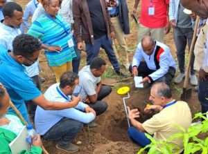 Projeto leva sustentabilidade à agricultura da Etiópia