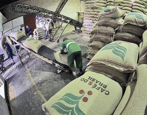 Agronegócio mineiro bate recorde histórico em 2024