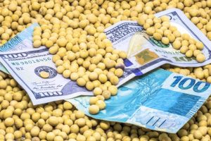 Soja fecha agosto com variação nos preços e impactos do cenário internacional