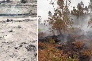 Fogo subterrâneo aumenta dificuldade dos bombeiros no combate às queimadas