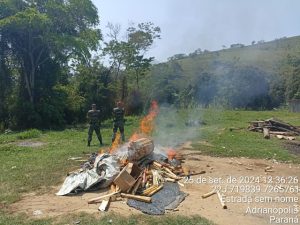 Polícia desativa fábrica clandestina de palmito