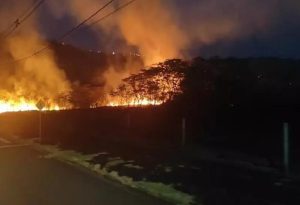 Indígenas invadem propriedade e provocam incêndio em área de preservação