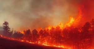 INCÊNDIOS: Após pedido da FAEP, Paraná decreta situação de emergência