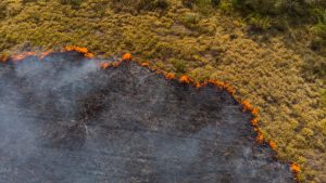 CNA orienta produtores rurais sobre como lidar com incêndios nas propriedades