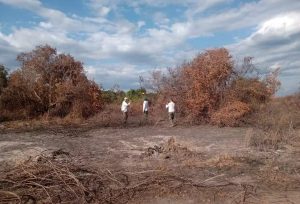 Fazendeiro se dá mal e leva multa de R$ 50 milhões por queimar área equivalente a 10,5 mil campos de futebol