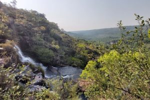 Estado repassa R$ 200 milhões em ICMS Ecológico