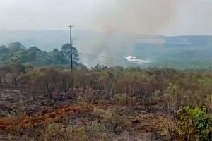 Avião contratado combate incêndio