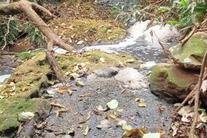 Suinocultor é multado em R$ 100 mil por infração ambiental em córrego