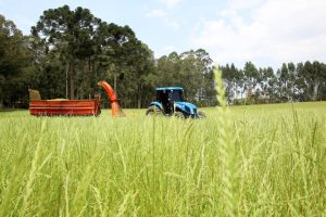 Com equalização de juros, Banco do Agricultor garantiu R$ 829 milhões em financiamentos