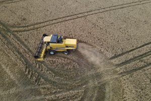 VBP 2023: confira as cidades campeãs de 22 culturas agropecuárias