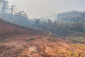 Com mais de 12 mil incêndios no ano, Paraná segue em alto risco
