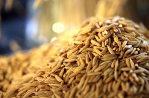 Liberado quase R$ 1 bilhão para estimular produção de arroz