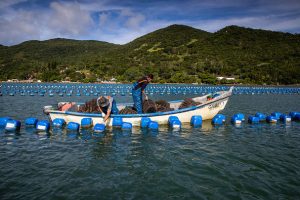 Senar inicia ações do Projeto Aquicultura Brasil