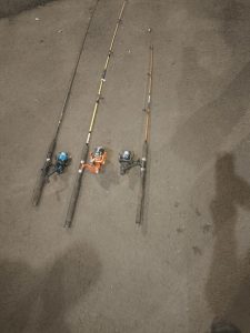 Operação da PF flagra pesca ilegal