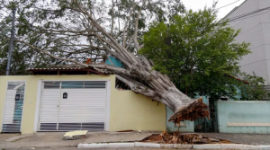 Semana terá mais temporais no Brasil. Veja onde há riscos