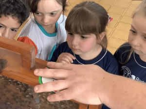 Educação ambiental: crianças de escola aprendem sobre as abelhas