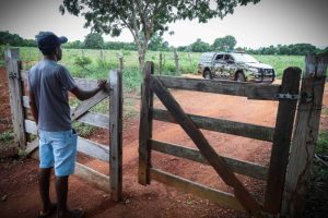 Roubos e furtos de insumos agrícolas registram queda