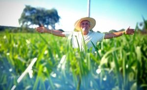 Programa beneficia projetos de produtores que preservam o meio ambiente