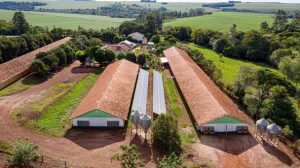 Energia solar: produtores rurais conseguem economizar e impulsionar os resultados