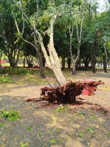 Risco de tempo severo isolado menor depois da onda de tempestades