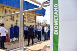 Programa deve promover salto no desenvolvimento do setor de bioenergia