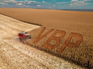 Riqueza que vem do campo também transforma a cidade