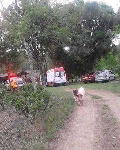 Homem morre após suposto ataque de suíno