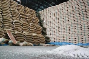 Exportações de arroz cresceram mais de 80% em setembro