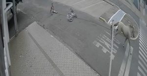Cavalo arrasta homem pelo centro da cidade