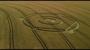 Desenho misterioso surge em campo de trigo