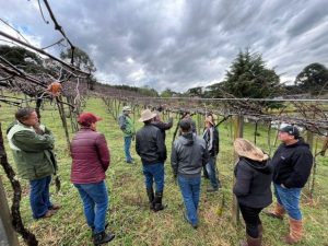 Epagri capacita produtores de uva