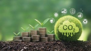 Regulamentação do mercado de carbono pode gerar novas receitas para o agronegócio