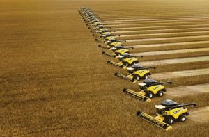Conheça os 100 municípios que respondem por 1/3 da produção agrícola brasileira