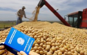 Agronegócio reforça importância na economia com saldo positivo de empregos em agosto