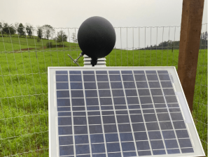 Equipamento mede impacto do calor extremo na produção de leite