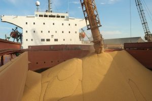 Brasil e 16 países pedem que UE desista de sistema de classificação de risco de desmatamento