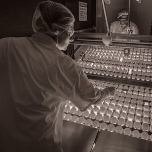 Embarques de genética avícola crescem 5,7% em 2024