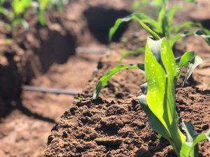 Irrigação no Brasil: Desafios e Perspectivas para o Futuro