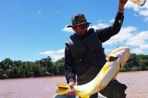 Pesca predatória fica proibida na Bacia do Rio Paraná