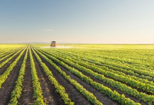 Acordo de cooperação vai impulsionar sustentabilidade no agronegócio