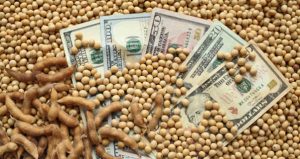 Abiove mantém expectativa de produção de 15 milhões de toneladas