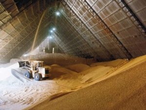 Investimento bilionário em soja impulsiona setor de biodiesel