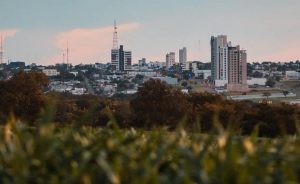 Qual a capital nacional do agronegócio?