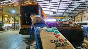 Sucesso na terra do chá: café amplia mercado na China