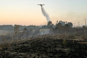 Aviões contratados apagam dois incêndios florestais