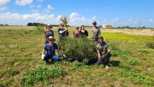 Projeto planta 400 mudas de butiazeiros em município